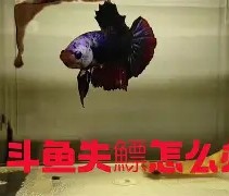 九游体育-?4+J镪&amp;.#%鳔磃f	C?V帻禂憋玶r20^}磪僜?X茵L%