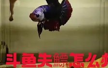 九游体育-?4+J镪&amp;.#%鳔磃f	C?V帻禂憋玶r20^}磪僜?X茵L%